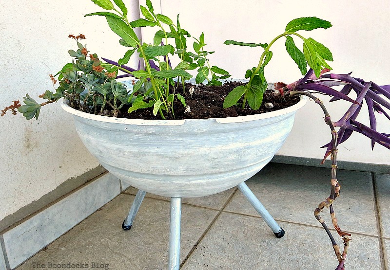 Using a grill as a planter , Grilling the plants for Earth Day www.theboondocksblog.com