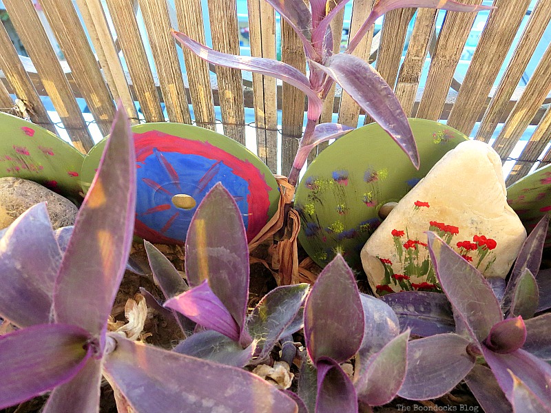Painted rocks among the succulents, A Tour of the Balcony Part Two www.theboondocksblog.com