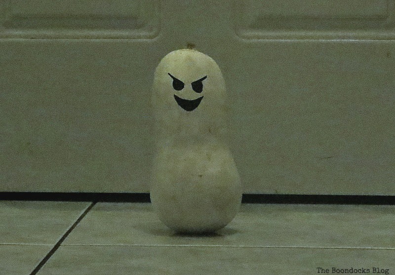 Creepy Mr. Gourd, Paranoid Man goes to the Halloween Party www.theboondocksblog.com