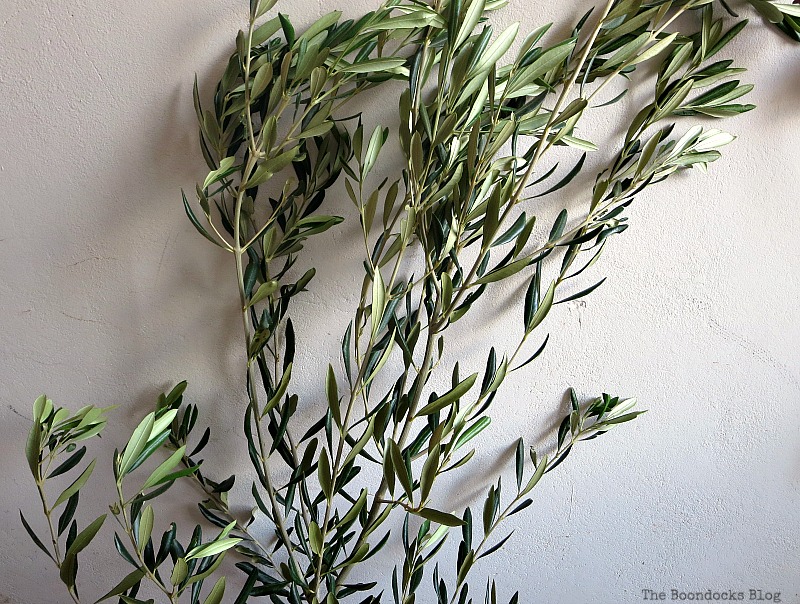 Olive Branches.