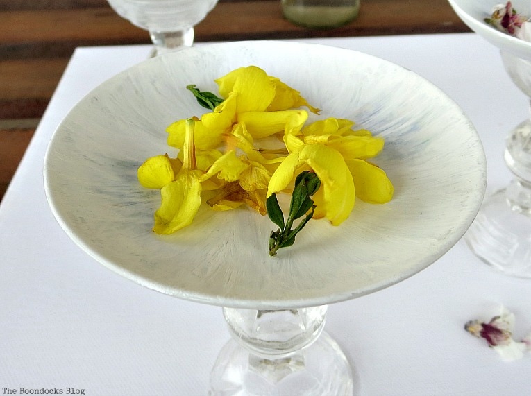 Yellow flowers on painted saucer.