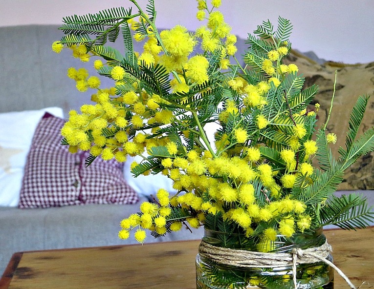 yellow fuzzy flowers, Facebook Photos February www.theboondocksblog.com