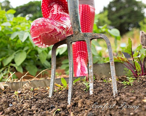 gardening,  Eight Ideas for the Love of Celebrating Spring www.theboondocksblog.com