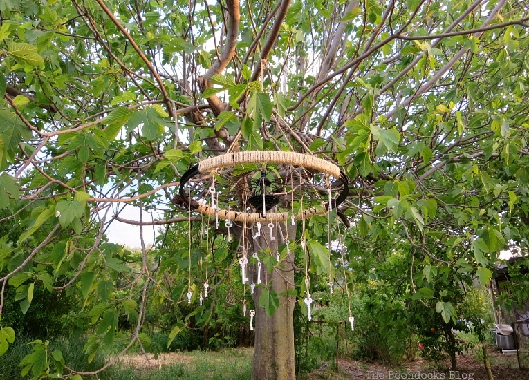 tire rim wind chime hanging on a fig tree, How to Re-purpose a tire rim into a Unique wind chime - Int'l Bloggers Club www.theboondocksblog.com