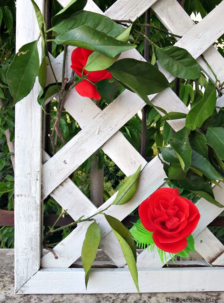 Close up of flowers peeking through green leaves on the lattice flower wall.