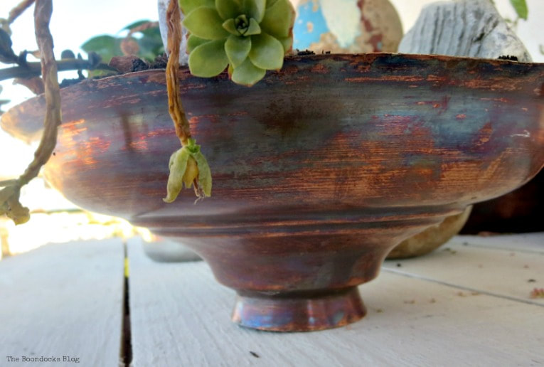 Copper lid holding dying succulents.