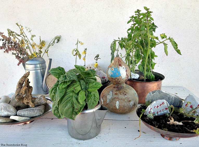 Vignette made with copper pots, rocks, plants and succulents.