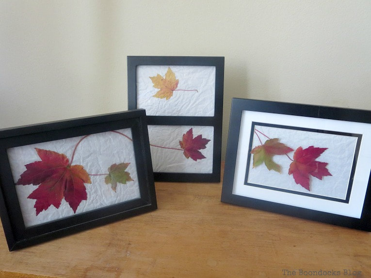 three picture frames with leaves as art, How to Easily add Fall in your home www.theboondocksblog.com