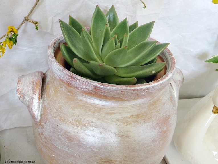 Succulent placed in clay pot, How to Re-Purpose Household Items as Planters, theboondocksblog