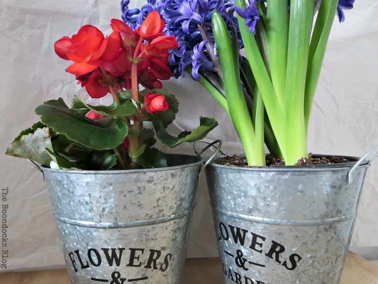 Real flowers placed in galvanized metal planter boxes, How to Fake A Green Thumb with this Planter Box Idea, www.theboondocksblog.com
