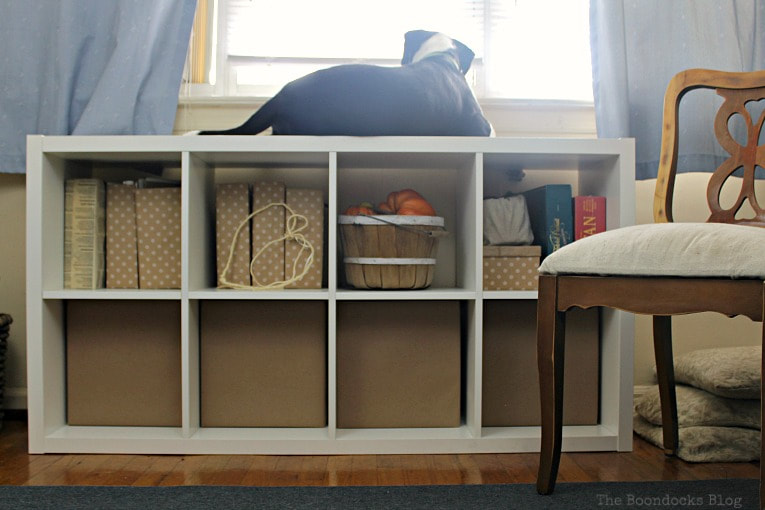 Kallax storage bin holding cardboard paper organizer storage boxes and a dog sitting on top.