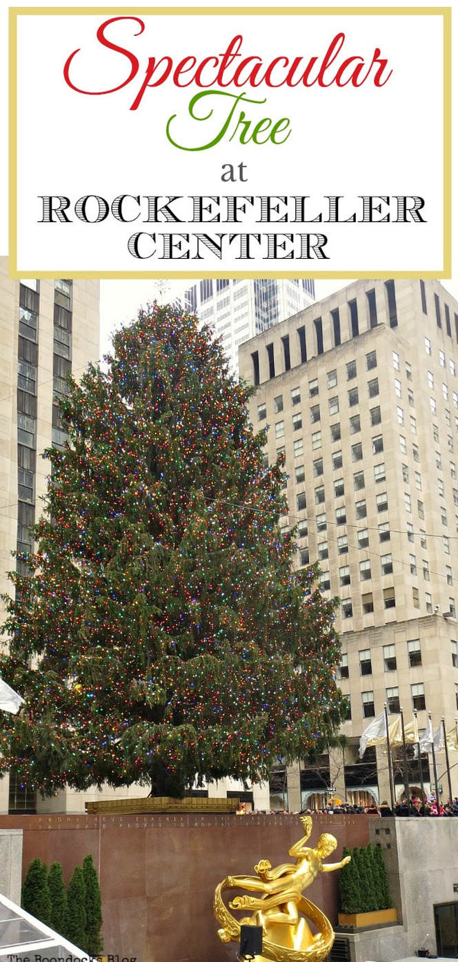 The Christmas tree towering over the Prometheus statue at Rockefeller center, #newyork #photoessay #photography #rockefellercenter #Christmastree #prometheusstatue #Christmasmood A Visit to the Spectacular Tree at Rockefeller Center www.theboondocksblog.com