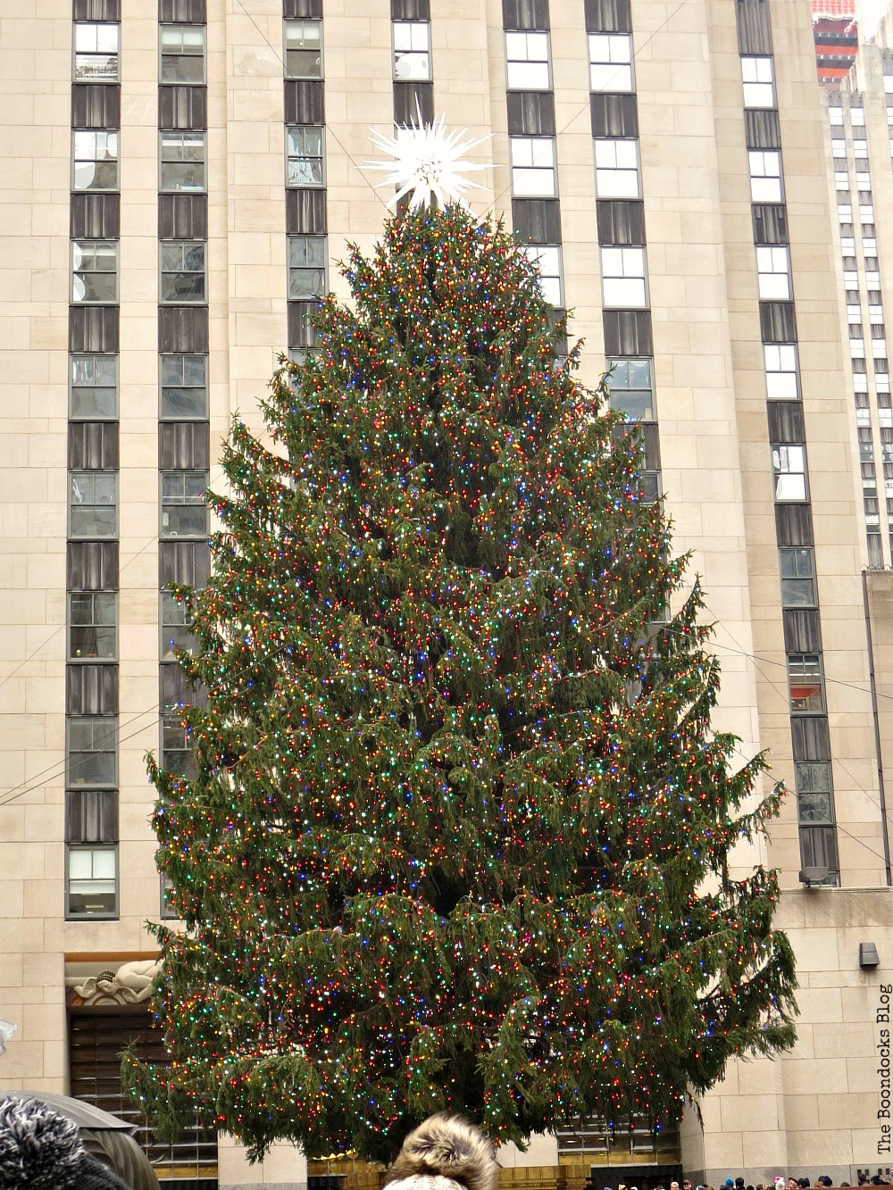 The Christmas tree which is 72 feet tall, A Visit to the Spectacular Tree at Rockefeller Center www.theboondocksblog.com